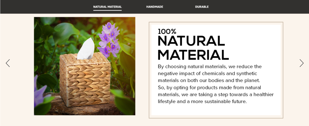 Module 14: Premium Navigation Carousel 