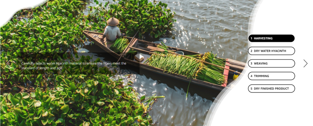 Module 15: Premium Regimen Carousel