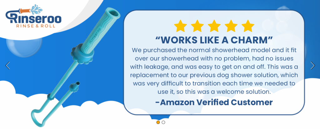 Module 16: Premium Simple Image Carousel